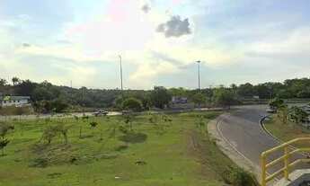 Imagem 4: O antigo Selva Park Manaus, grande área para venda com 142000 m2 em Flores - Manaus - AM