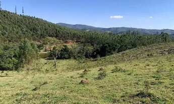 Imagem 4: Vende-se terreno para sitio em igarata c/ acesso a lago e area verde