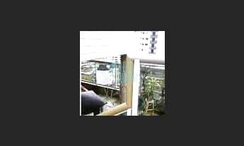 Imagem 2: Apartamento à venda, Tupi, Praia Grande, SP