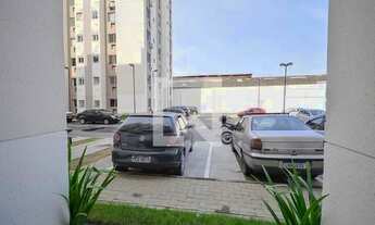 Imagem 6: Apartamento para Aluguel - São Cristóvão, 2 Quartos, 43 m2