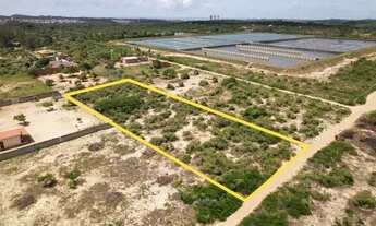Imagem 4: Oportunidade! Terreno 4000m² em Pium