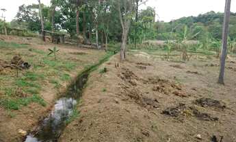 Imagem 4: Terreno 13.000 m², agua nos fundos, poço de peixe, fogão a lenha, terra ideal para plantio