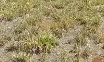 Imagem 6: Terreno à venda, 300 m² por R$ 435.000,00 - Residencial das Acácias - Paulínia/SP