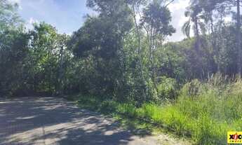 Imagem 6: Terreno para Venda em Nova Petrópolis, Juriti