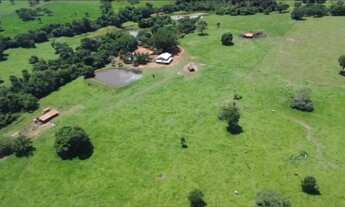 Imagem 3: Sítio 7.9 alqueires com rio em trindade Goiás