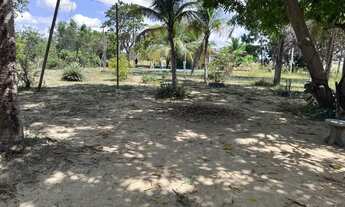 Imagem 3: Sitio no Bointento