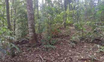 Imagem: Terreno à Venda em Gramado!