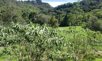 Imagem 5: Loteamento Bosque das Araucárias - Linha Imperial