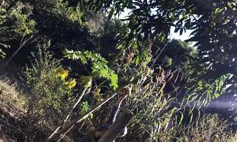 Imagem 3: Lote de 2.080 meteos quadrado no royal parque em Aguas Lindas de Goiás