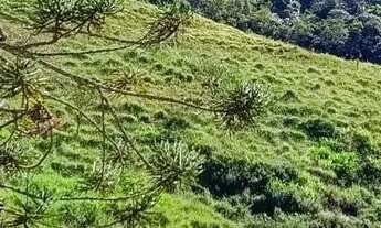 Imagem 6: Área aprox. 40.000 m2 em Vargem Alta, Nova Friburgo, RJ