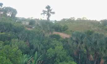 Imagem 3: Arniqueira - Lote grande