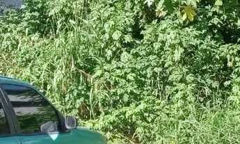 Imagem 3: Vendo Terreno medindo 450 M2 Próx. a AV das Torres!