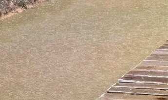 Imagem 7: Excelente chácara para descansar e curtir a natureza