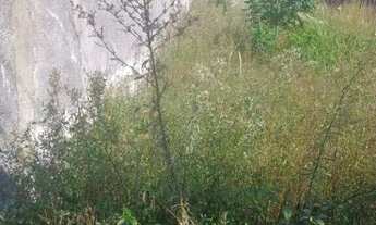 Imagem 3: Terreno à venda, 380 m² por R$ 600.000,00 - Cidade São Mateus - São Paulo/SP