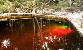 Imagem 16: Sitio Estrada Novo Airão km 44