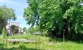 Imagem 3: Terreno bairro Vila Germânia, Nova Petrópolis.RS Ref.:150