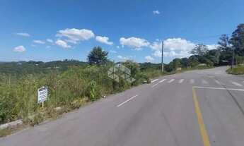 Imagem 3: Terreno em local tranquilo