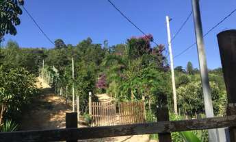 Imagem 3: Maravilhosa chácara,região de caete mg,50km de BH