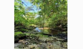 Imagem 7: Chacrinha 3000 m2 com lago. Ribeirão em Joanópolis SP