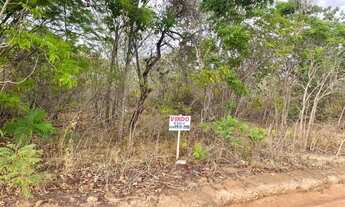 Imagem 3: Terreno 320 m² Frente vaquejada ARREIO DE OURO