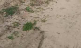 Imagem 2: Vendo 11 tarefas de terra com uma casa