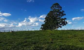 Imagem 3: TERRENO QUE DA PARA INVESTIR