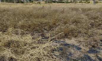 Imagem 5: Lote a Venda Edeia GO Solar Park Ipanema R$ 55.000,00