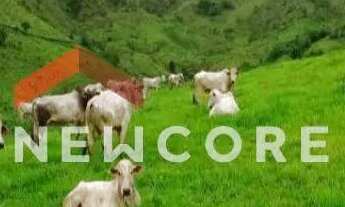 Imagem 4: Fazenda em estrada Varginha - Varginha - Adrianópolis/PR