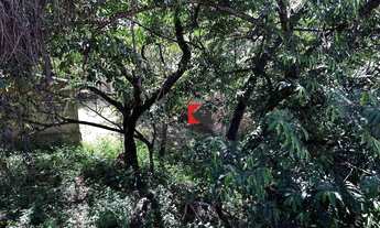 Imagem 4: LOTE COM LEVE DECLIVE NO COND. VILLAGE DO GRAMADO!