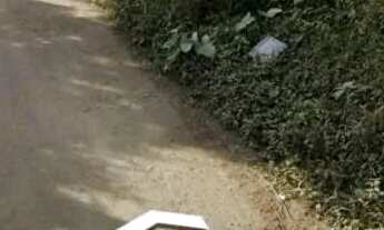 Imagem 4: Terreno de 2000 metros quadrados a 50 metros da rodovia índio Tibiriçá