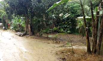 Imagem 3: Vendo Fazenda em vagem alta