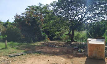 Imagem 4: Chácara 4.320 m², Jaboticabal - R$ 360 mil, Cod: 113