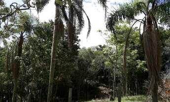 Imagem 6: Terreno à venda, Itapuã - Viamão/RS