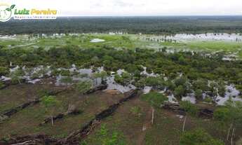 Imagem: FAZENDA À VENDA EM PIUM - TO - 1.021,24