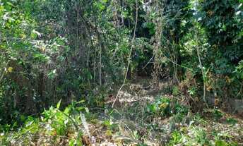 Imagem: Oportunidade no Engenho do Mato!!