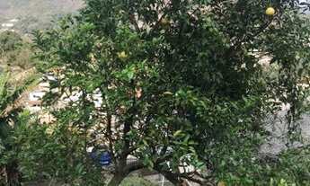 Imagem 5: PETRóPOLIS - Terreno Padrão - Quitandinha