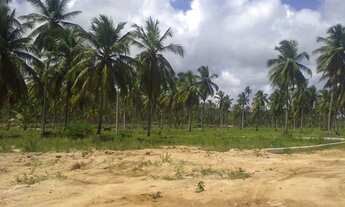 Imagem 2: Terreno em Sao Jose da Coroa Grande