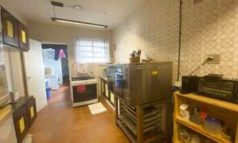 Imagem 7: PINHEIROS AO LADO DO METRÔ