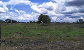 Imagem 7: Fazenda em Monte do Carmo