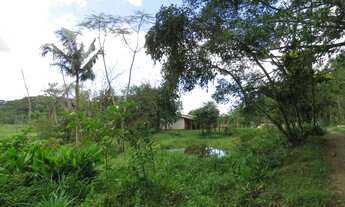 Imagem 14: FAZENDA Fazenda / sítio com venda por R$2.500.000