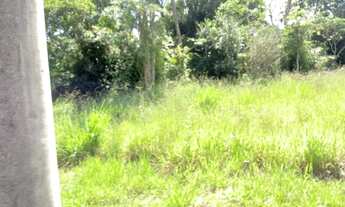 Imagem 2: COTIA - Terreno Padrão - Parque Dom Henrique