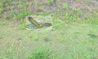 Imagem 2: Terreno Lote para Venda em GSP ARTS Itatiba-SP - TE615