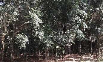 Imagem 2: Terreno à venda, São Lucas - Viamão/RS