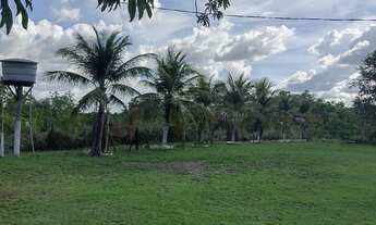 Imagem 5: Sítio no sucuri com 100.000 metros quadrados