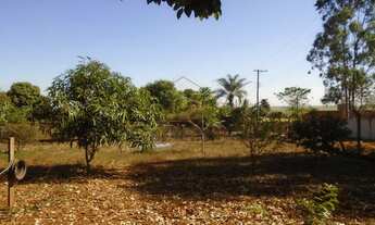 Imagem 3: Barrinha - Chácara - Rural