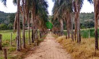Imagem: Fazenda em Heitoraí-GO