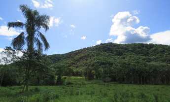 Imagem 11: FAZENDA Fazenda / sítio com venda por R$2.500.000