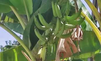 Imagem 6: R$ 900.000,- Área de 2.890 M2 16km do Aeroporto e Shopping beira do Rio Cuiabá