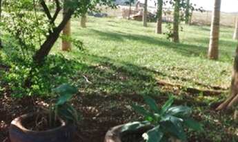 Imagem 4: 137. Chácara em Campo Grande/MS Região do Indubrasil