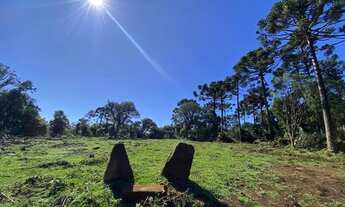 Imagem 3: TERRENO DE ALTITUDE ACIMA DE 1500 METROS EM URUBICI PARA VENDA!!!